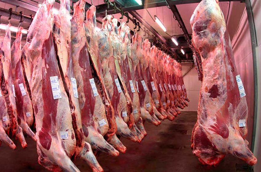  Las exportaciones de carne vacuna tuvieron una fuerte suba en marzo, aunque a menor precio