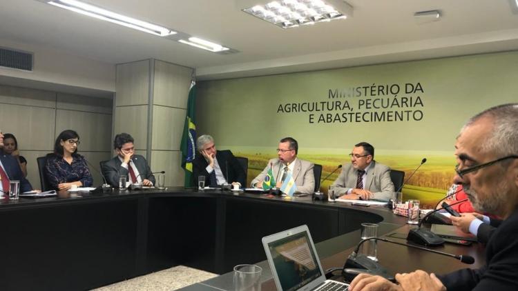 Brasil abrió su mercado a la importación de embriones y reproductores bovinos de la Argentina