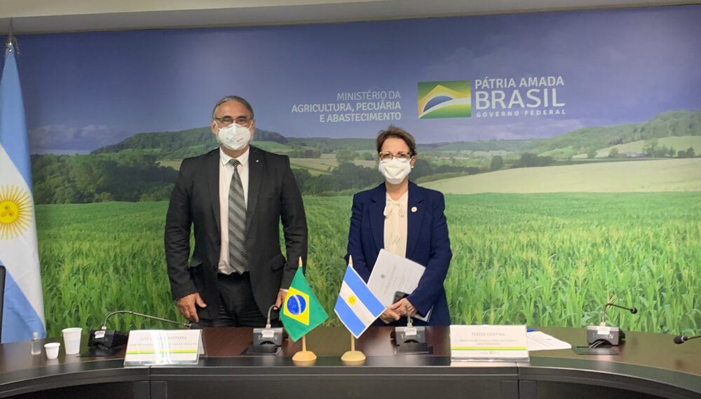 Basterra, con la ministra de Agricultura de Brasil: agenda bilateral y acceso a mercados, entre los puntos clave