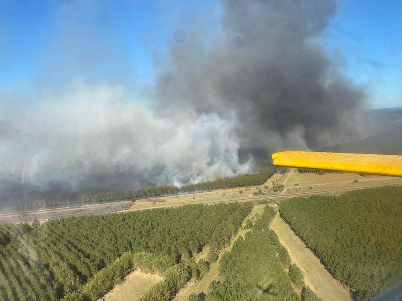 El Gobierno nacional homologó la emergencia forestal para once departamentos correntinos por los incendios rurales