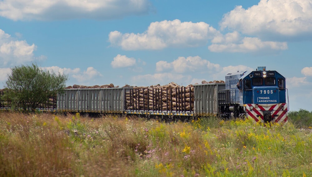 El tren de cargas sigue creciendo: transportó 19% más en toneladas en el primer trimestre