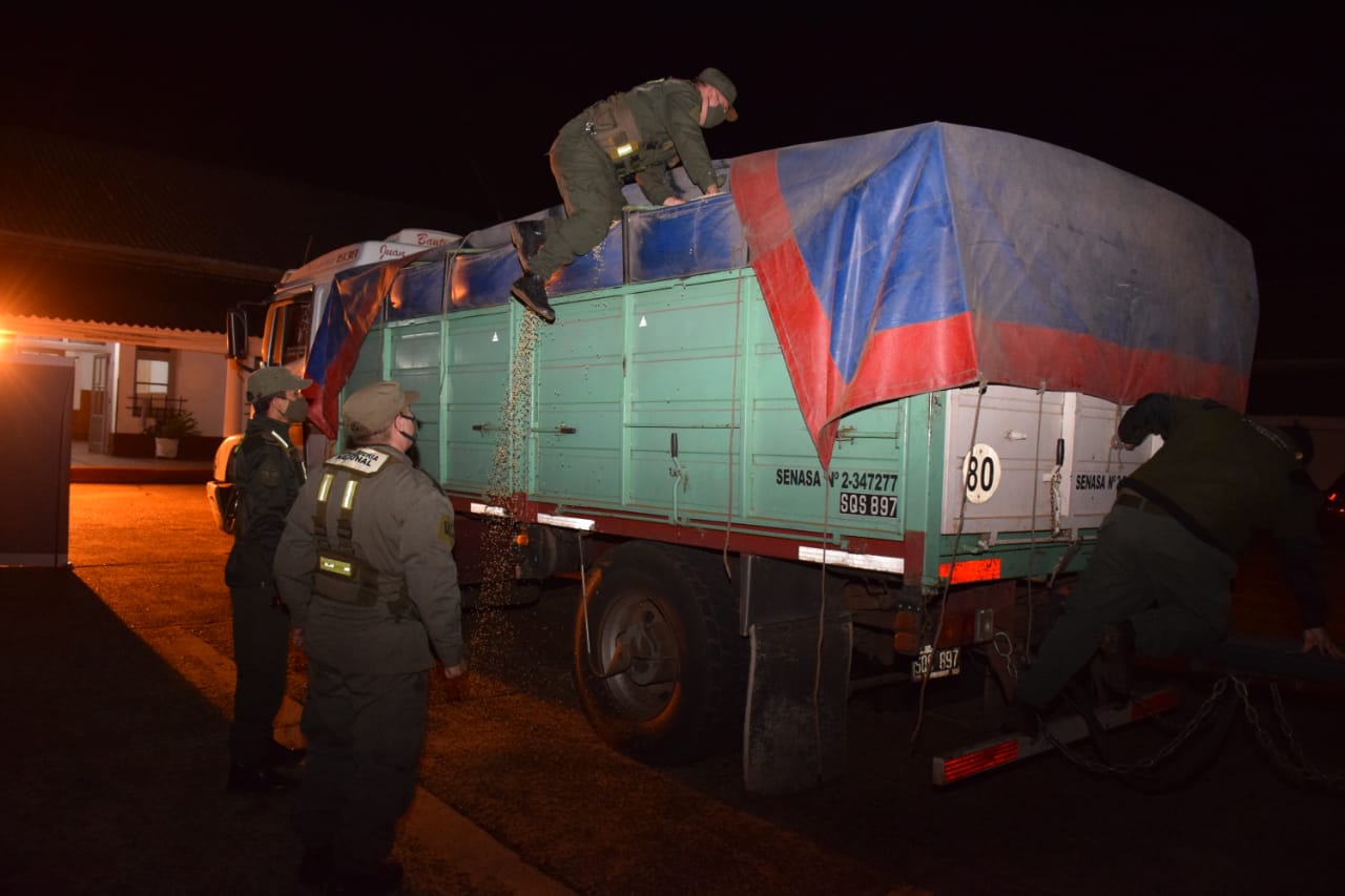 Tráfico ilegal de granos: Gendarmería secuestró 29 toneladas de soja y dinero en efectivo sin declarar