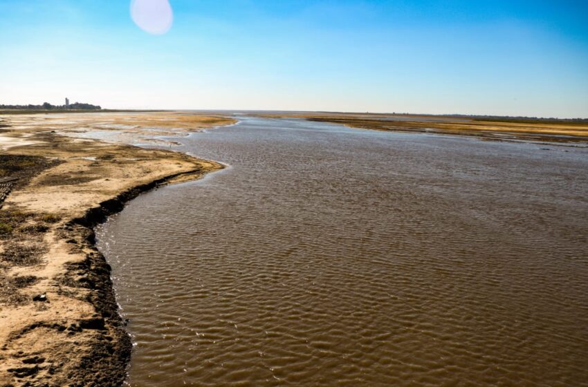  Cómo impactará la bajante del río Paraná en el agro y en el ambiente