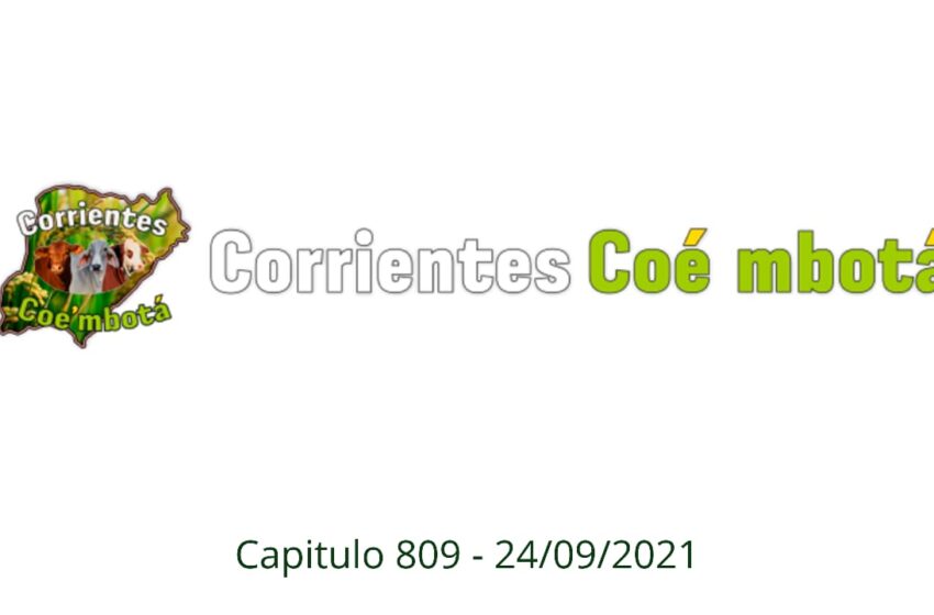  Corrientes Coé Mbotá N° 809 – 27/09/21