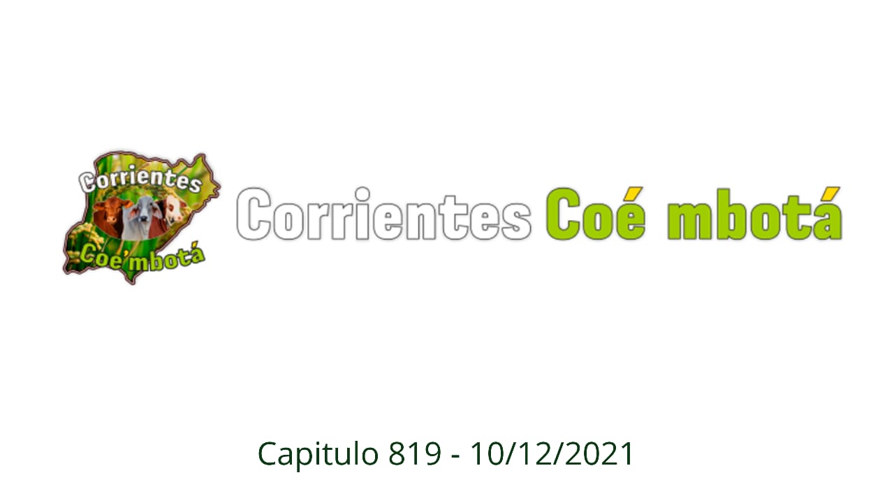 Corrientes Coé Mbotá N° 819 – 11/12/21