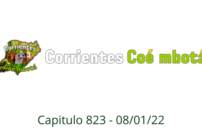  Corrientes Coe Mbota N° 823 – 08/01/2022