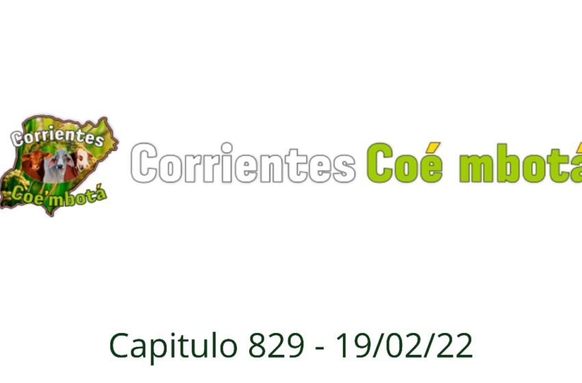  Corrientes Coé Mbotá N° 829 – 19/02/2022