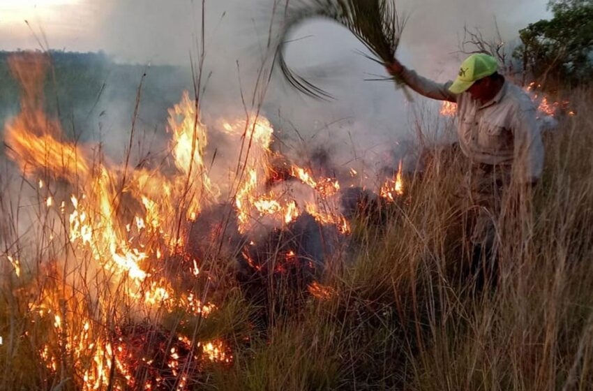  Incendios en Corrientes: gobernadores del norte del país señalaron que la situación requiere medidas urgentes