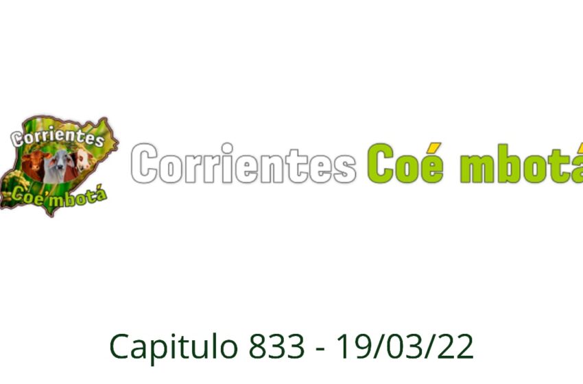  Corrientes Coé Mbotá N° 833 – 19/03/2022