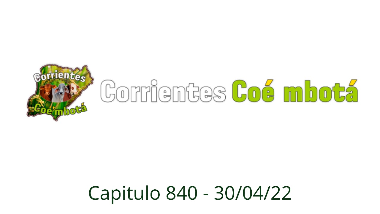 Corrientes Coé Mbotá N° 840 – 30/04/2022