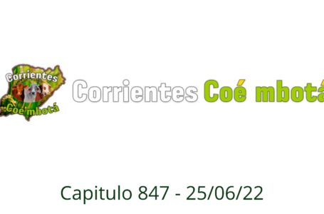 Corrientes Coé Mbotá N° 847 – 25/06/2022