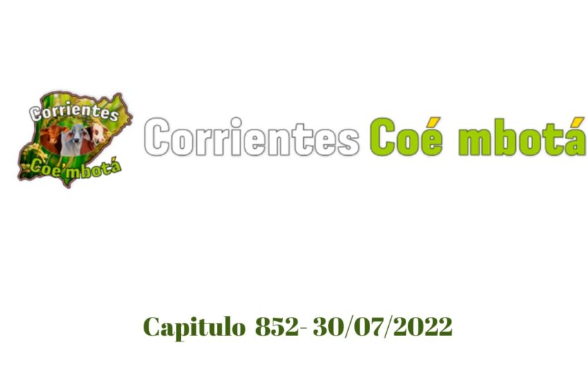  Corrientes Coé Mbotá N° 852 – 30/07/2022