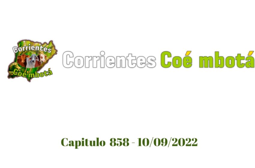 Corrientes Coé Mbotá N° 858 – 10/09/2022