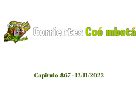 Corrientes Coé Mbotá N° 867 – 12/11/2022
