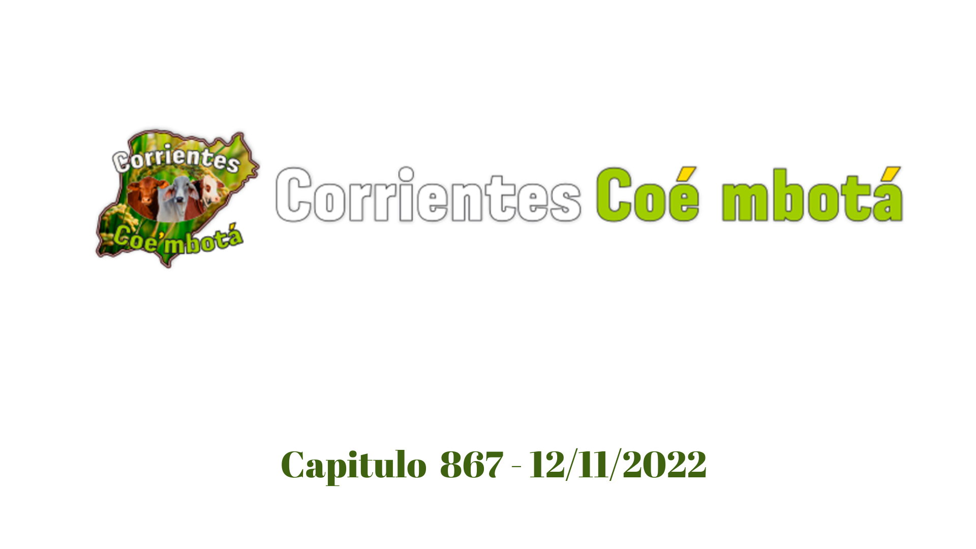 Corrientes Coé Mbotá N° 867 – 12/11/2022