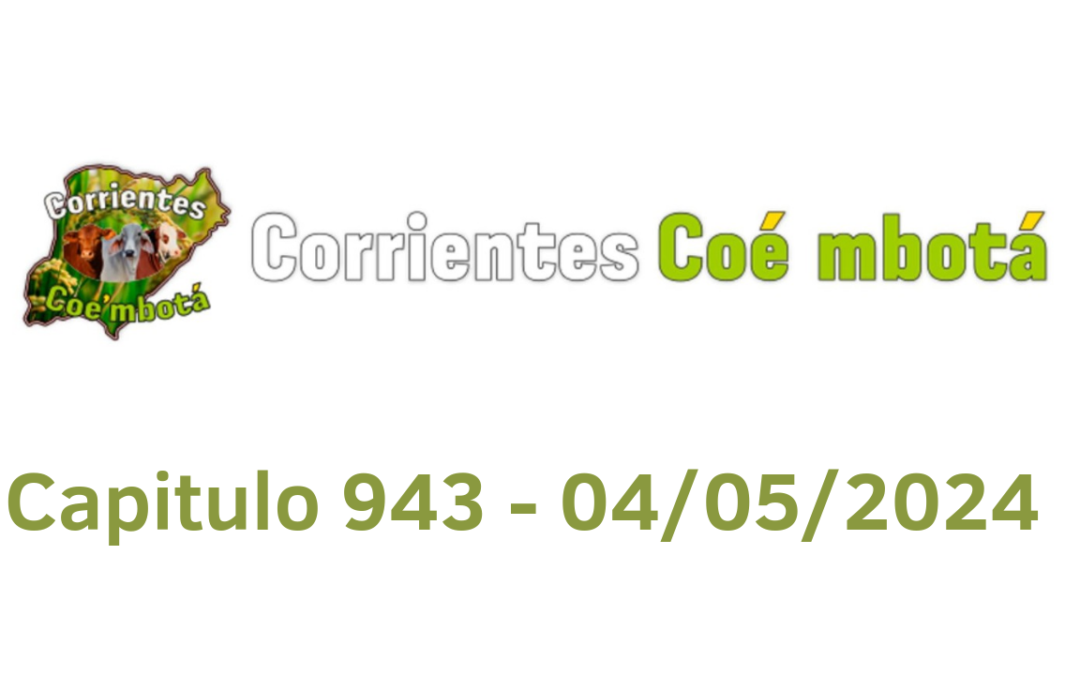 Programa 943 – 04/05/2024