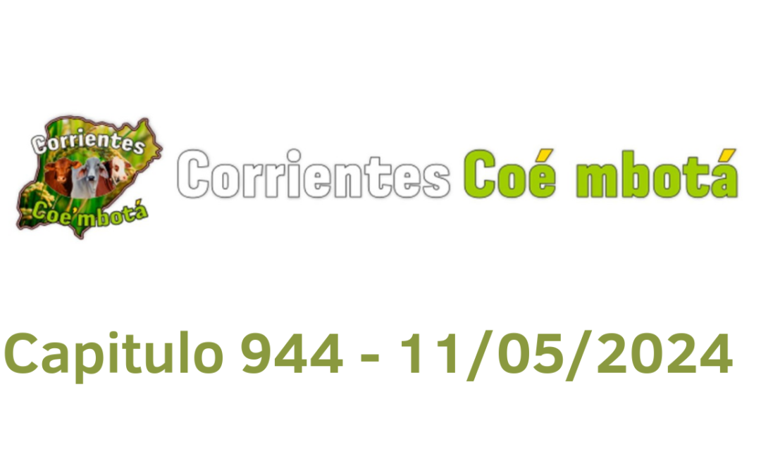 Programa 944 – 11/05/2024